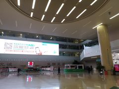 -中国人民解放军总医院(301医院)