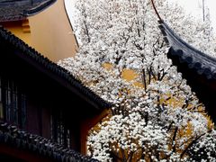 -龙华寺