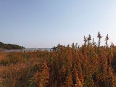 -平湖九龙山旅游度假区