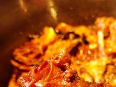 -挂雪铁锅炖大鹅