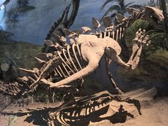 -自贡恐龙博物馆