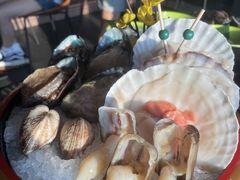 -Mr.Fish鱼鲜生海鲜放题(高德置地冬广场店)