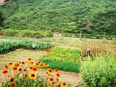-白河湾生态旅游一条川