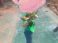 -西霞口神雕山野生动物世界