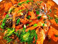 -庆岭迎宾园正宗活鱼馆