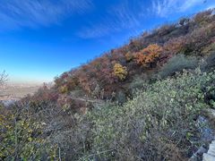 -北京西山国家森林公园