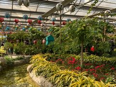 -南宫五洲植物乐园