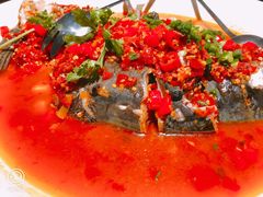 -坛宗剁椒鱼头(河西王府井店)