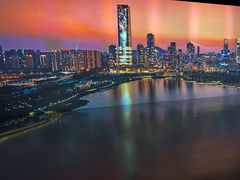 -深圳市当代艺术与城市规划馆