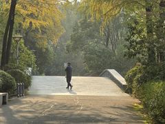 -长广溪湿地公园