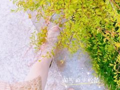 -西北湖绿化广场