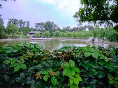 -中国农业博物馆