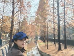-白水寺森林公园