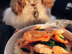 -汪小喵宠物·戴维斯乐芳希施宠馨宝皮毛调理洗护店
