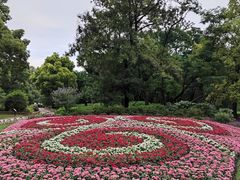 -上海共青森林公园