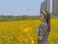 -长白岛森林公园