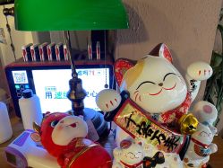 -New Fashion发型定制