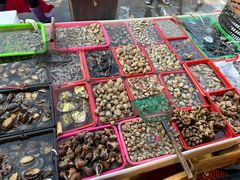 -芦潮港集贸市场