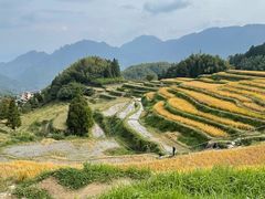 -妈妈菜舟山海鲜(定海古城店)