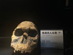 -崇州天演博物馆