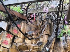 -龙口南山旅游景区