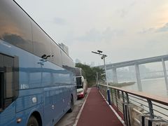 -菜园坝水果市场