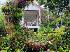 -深圳仙湖植物园
