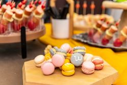 -派对猴生日派对策划