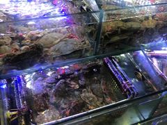 -岳各庄批发市场(西四环中路店)