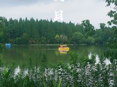 -东平国家森林公园