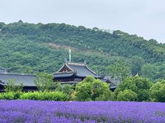 -雪浪山卡丁车俱乐部