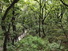 -野三坡百草畔景区