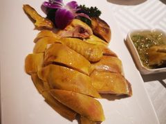 清远白切鸡-粤秀小厨·广式早茶(辽宁路店)