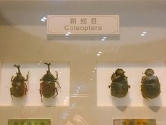-上海昆虫博物馆