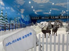 -世界之窗阿尔卑斯冰雪世界