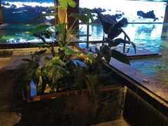-浅深(北京北四环精品店)