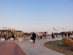 -丁香湖公园