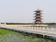 -呼兰河口湿地公园