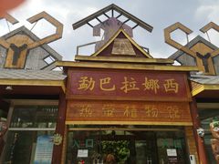 -呀路古热带植物园