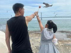 -星海广场