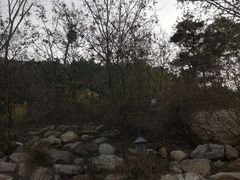 -徂徕山森林康养度假谷温泉