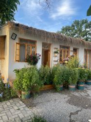 -DORA kids 朵拉儿童摄影花园店