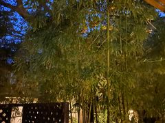 -春晖园度假酒店温泉