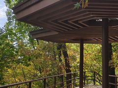 -吉林市朱雀山国家森林公园