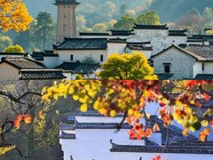 -塔川景区