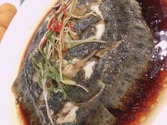 清蒸多宝鱼-雅逸居海鲜小厨