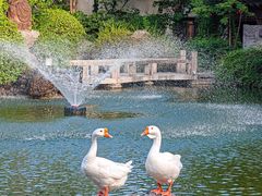 -祝家花園(伯渎港店)