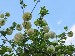 -大龙山(地铁站)