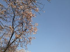 -大雁塔文化休闲景区-北广场