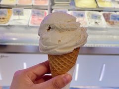-Dooley's Premium Ice Cream